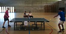 Ping221
