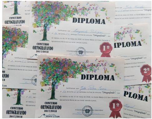 diploma ort