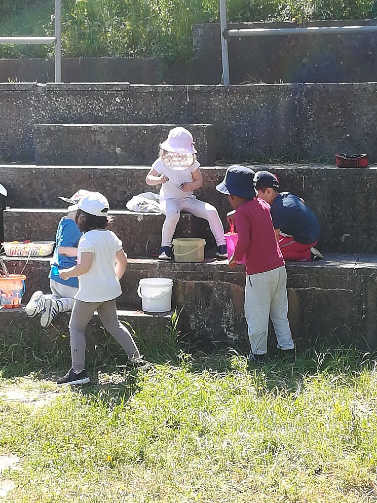 IMG 20180517 111910