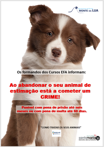 Afeto Partilhado1